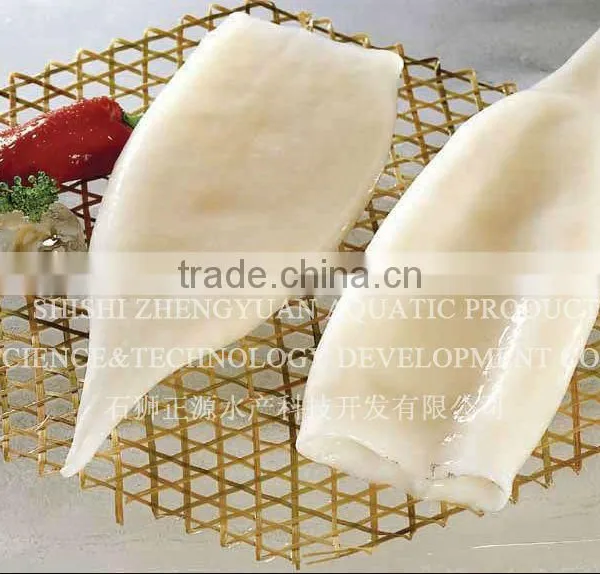 Frozen Seafood Frozen Squid