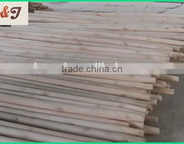 Eucalyptus Wooden Snow Shove Handle photo-4