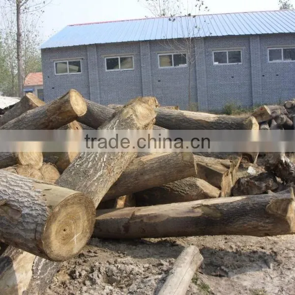Paulownia Boards , Paulownia FJ Board photo-5