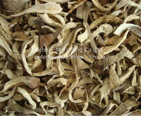 Dried Edible Mushroom Fungus Oyster Mushroom