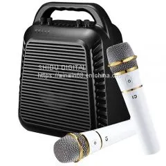 S90 Voice Amplifier