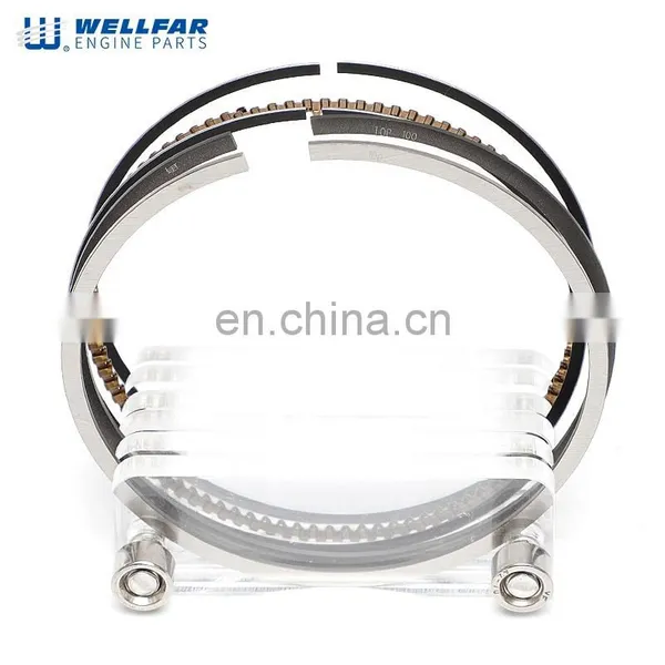 Machine Auto Engine Part Engine Modle PALIO 1.8L Auto Piston Ring 80.5mm for A14195/TA.7268 photo-4