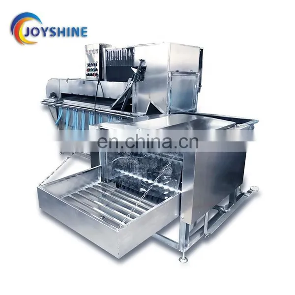 500 Bird per Hour Automatic Chicken Defeathering Machine Poultry Scalding and Plucking Machine photo-6