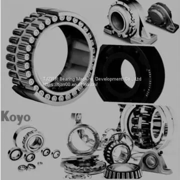 Roller Bearing Full Complement Needle Bearing photo-2