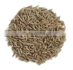 Cumin Seed