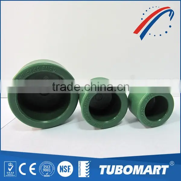 Ppr Fitting Plastic End Cap for Ppr Pipe photo-2