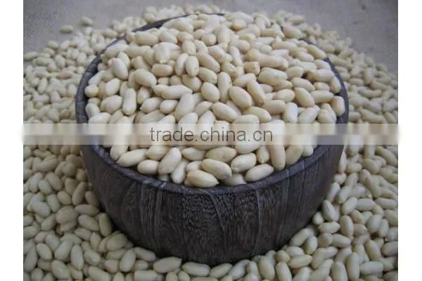 CHINESE PEANUTS