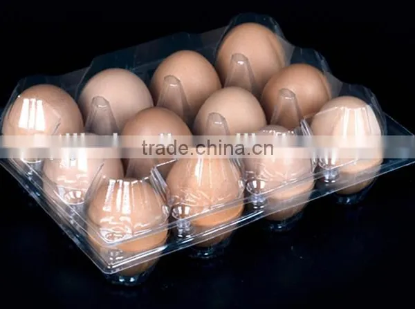 Wholesale Plastic Egg Carton Packaging photo-2