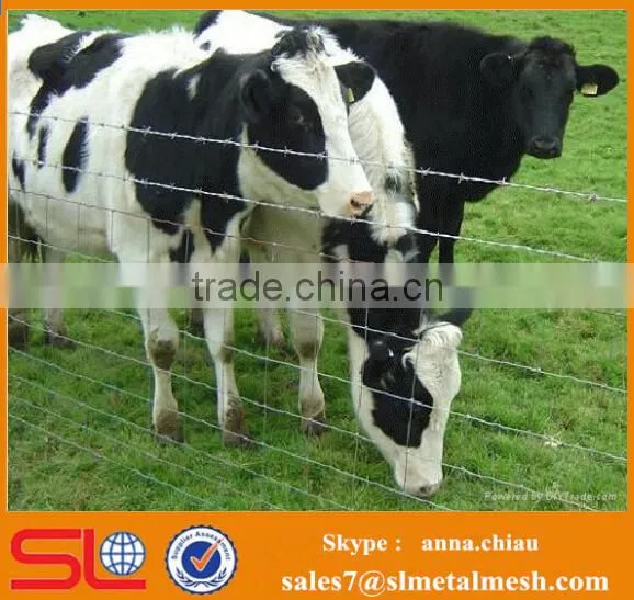 China Manufacturer Wholesale Galvanized Bulk Cattle Fence Hot Sale photo-3