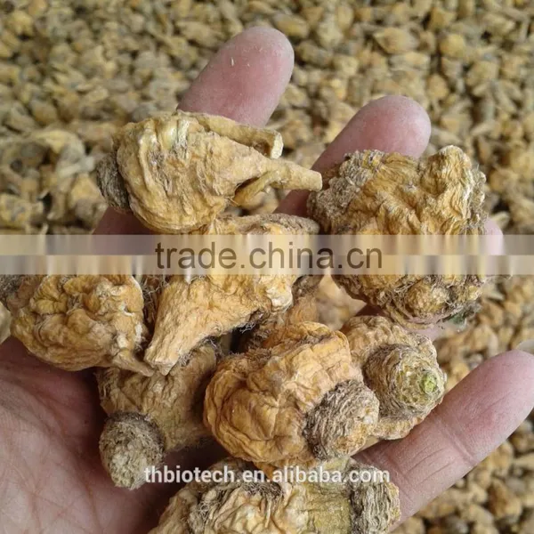 Manufacturer Pure Natural High Quality Maca Root Powder photo-5