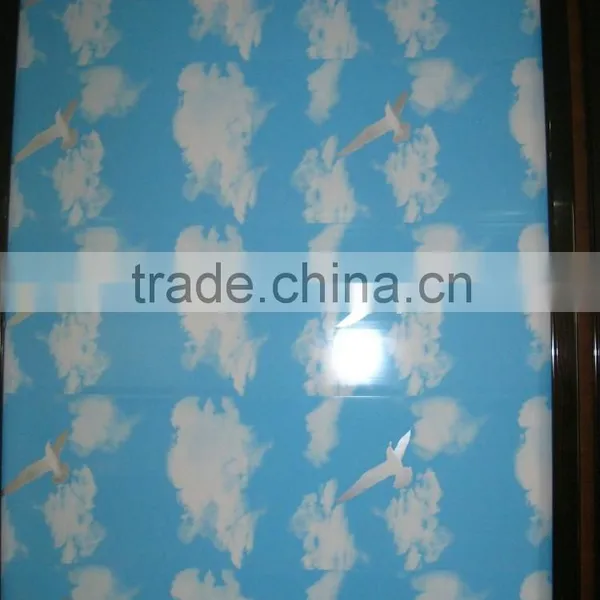 Oumega P356 Transfer Printing PVC Panel photo-4