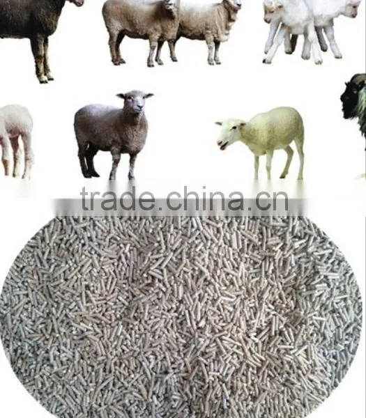4-12 mm Flat Die Flat Die Pellet Mill for Animal Food photo-6