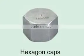 Investment Casting Carbon/stainless Steel Pipe Fittings Hexagon Caps