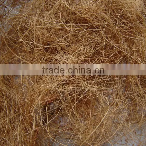 Coconut Fiber