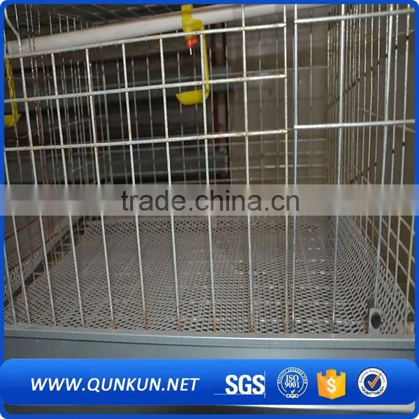 Egg Production Project Poultry Farming Equipment H Type Design Layer Chicken Cage for Sale photo-2
