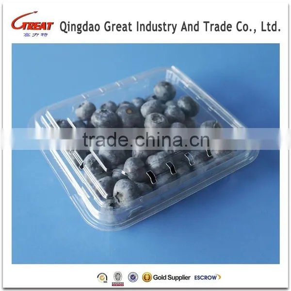 Good Quality Disposable Plastic Blueberry Fruit Packaging Container 125Gram photo-2