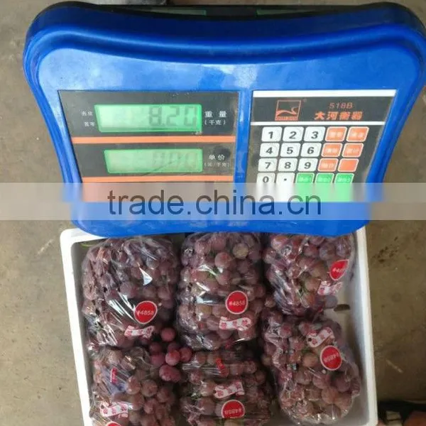 New Crop Fresh Red Global Grape