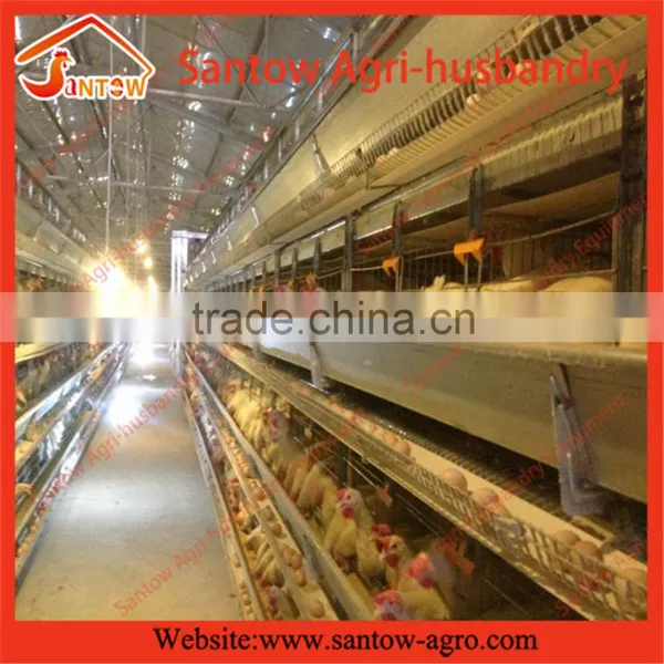 Stable Steel Structure Professional Chicken Egg Layer Cage Philippine Chicken Egg Layer Farm Supplier's Choice