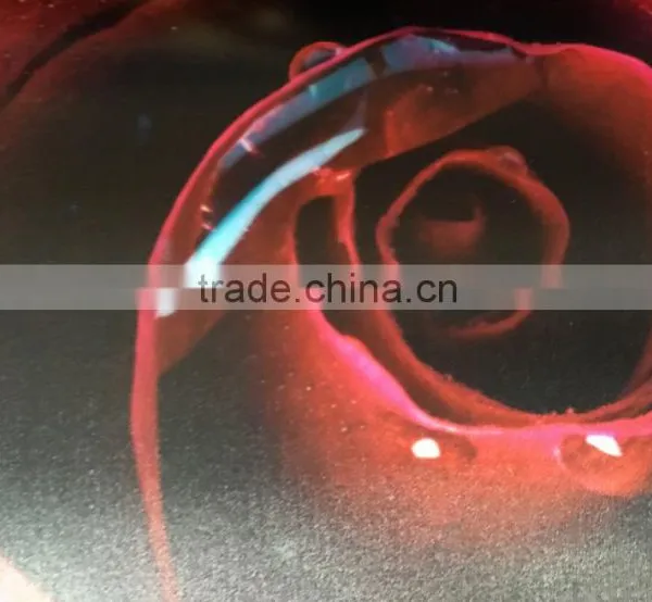 Indoor Silk Fabric CMYK Printing photo-2