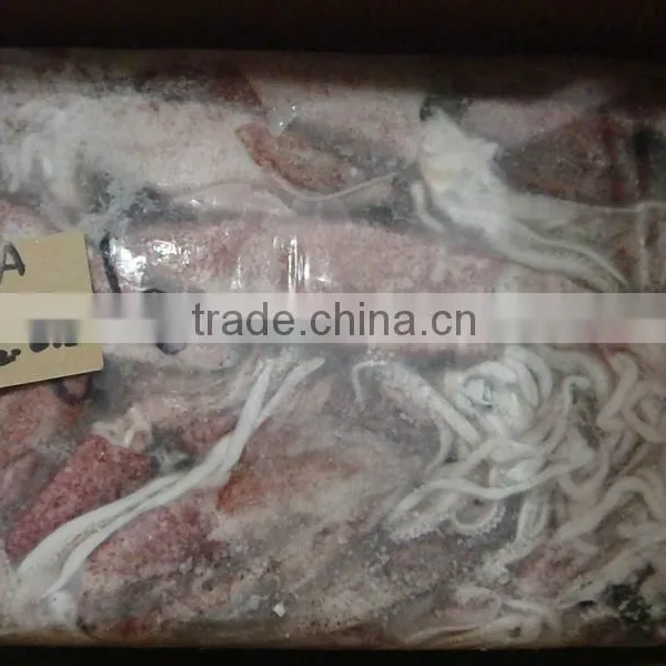 FROZEN SQUID LOLIGO WHOLE photo-6