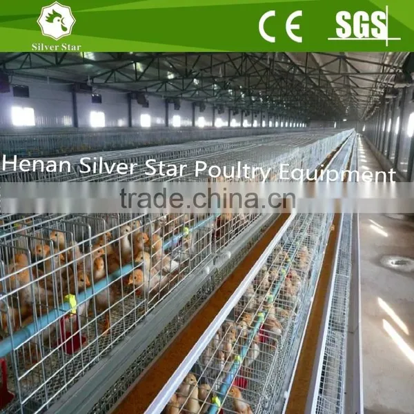 Poultry Farm Use Steel Structure for Battery Broiler Chicken Coop photo-5
