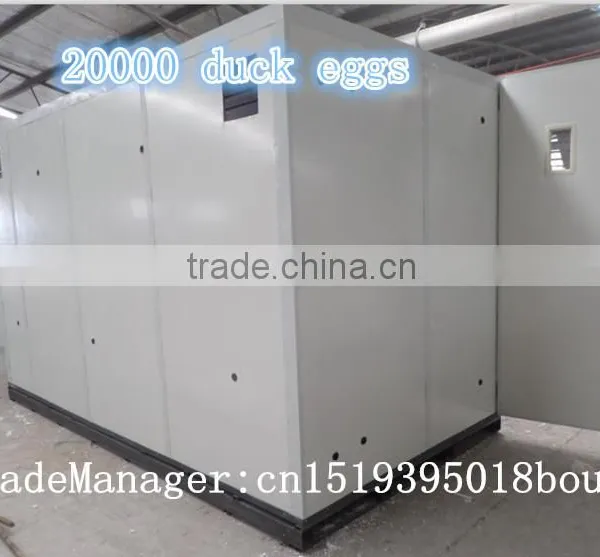 3 Year Warranty Automatic 30000 Poultry Chicken Egg Incubator for Sale Philippines photo-4
