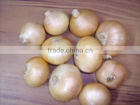 Yellow Onion photo-2