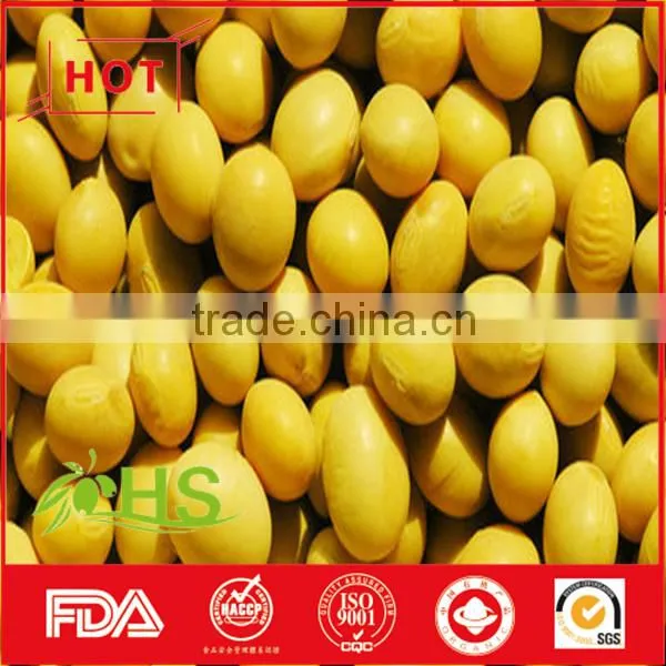 Chinese Dried Cheap Soybeans for Wholesale photo-3