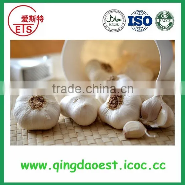 Jining White Garlic in Mesh Bag or Carton to Singapore photo-5