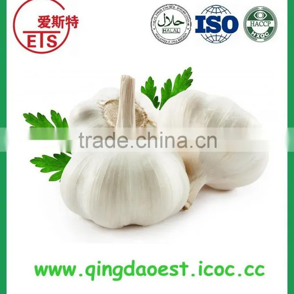 2016 High Quality Fresh White Garlic From China photo-2