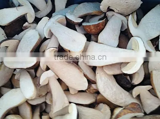 Good Quality Frozen IQF Boletus Edulis Mushroom