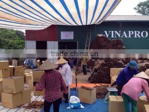 VIETNAM SPLIT CASSIA WITH BEST PRICE, HIGHT QUALITY photo-6