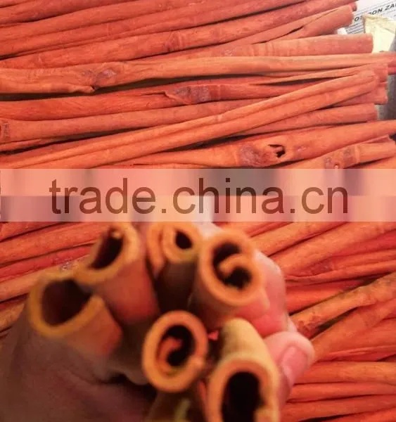VIETNAM STICK CASSIA photo-4