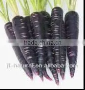 Black Carrot Juice Powder Water Soluble Manufacture With Good Quality photo-2