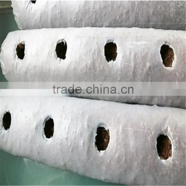 Liquid/solid Fungus Inoculation Machine photo-5