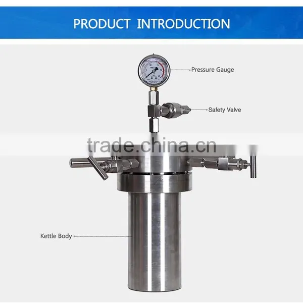High Pressure Laboratory Reactor photo-3