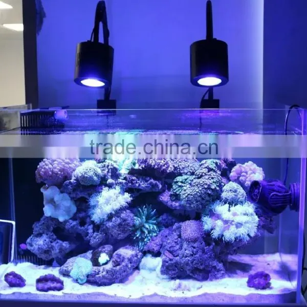 Wifi New Design Marine Led Lighting Sunrise Sunset Moonlight Marine Aquarium Led Lights UK photo-4