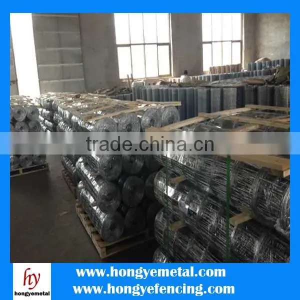 3x3 Galvanized Welded Wire Mesh Panel/Heavy Gauge Galvanized Welded Wire Mesh Panel photo-6