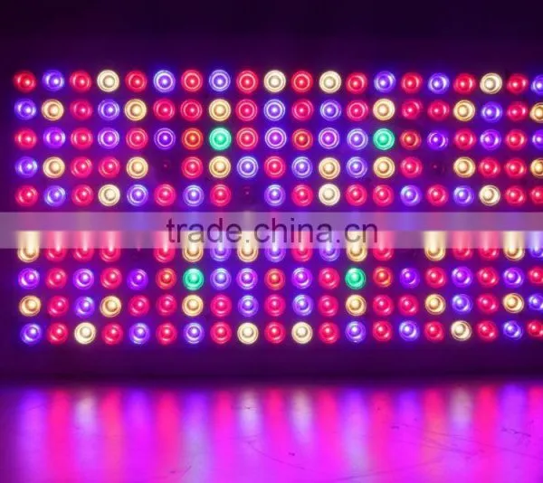 2016 Hot-selling LED Grow Light 1000w Full Spectrum for Greenhouse and Indoor Plant Flowering Growing (Red Blue UV IR) photo-2