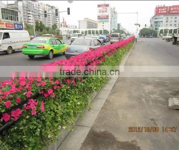 SOL 2015 Jydroponics Green Area Planter Fence Green Planter Double-side Pot photo-4