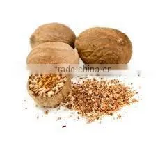 Nutmeg Oil photo-2