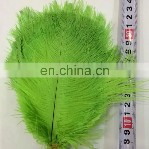 Cheap Ostrich Feather photo-2