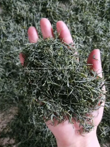 China's Advanced Green Tea Enshi Selenium Rich Longjing Tea Healthy Weight Loss TeaSelenium-rich Longjing TeaEnshi Longjing TeaSelenium Tea photo-3
