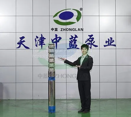 Stainless Steel Submersible Pump
