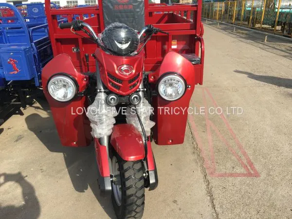 Gasoline Tricycle Double Shock Absorber Trike Three Wheeler Cargo Loader photo-5