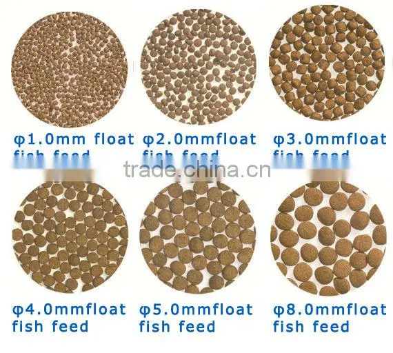 China Supplier Floating Tropical Fish Feed Pellet Processing Line photo-4