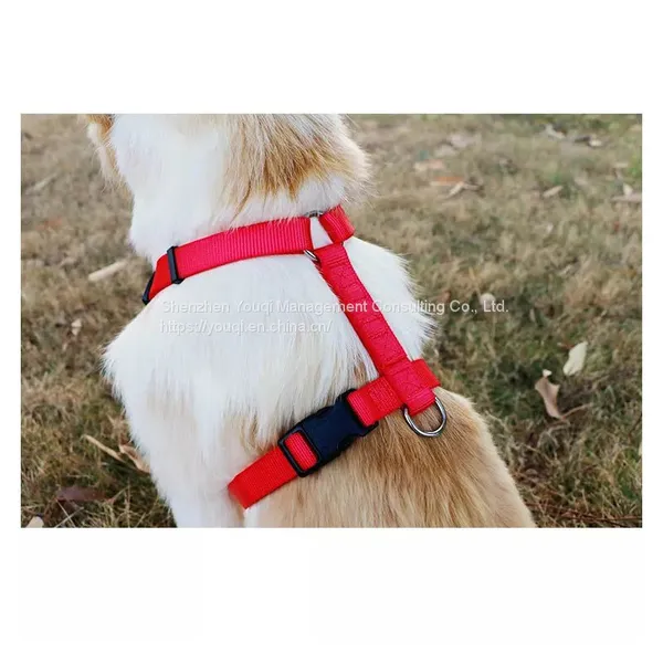 Wholesale Outdoor Nylon Adjustable H Style Custom Dog Harnesses photo-3