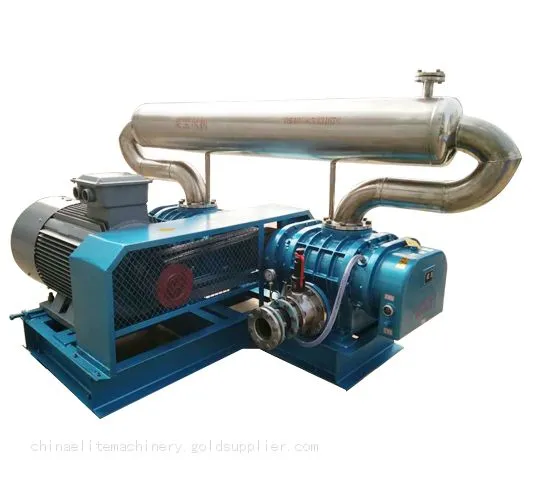 Diameter 200mm ETSR200 Roots Blower photo-2