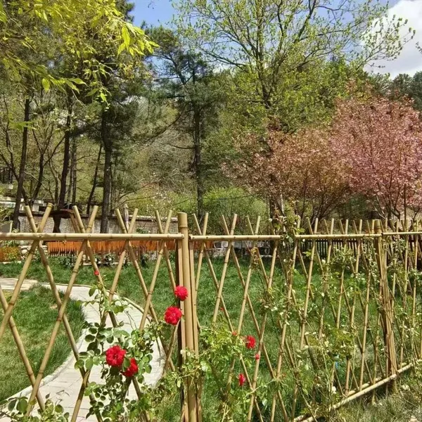 Stainless Steel Imitation Bamboo Guardrail Garden Vegetable Farm Courtyard Fence photo-5