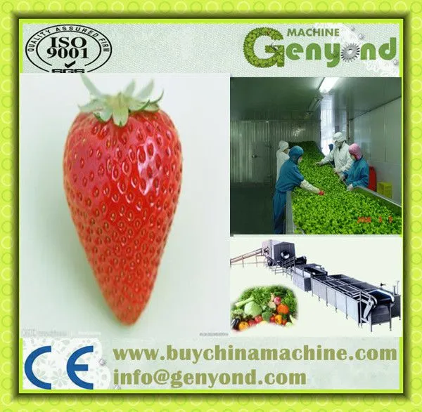 STRAWBERRY Quick Freezing Processing Line Machine photo-5
